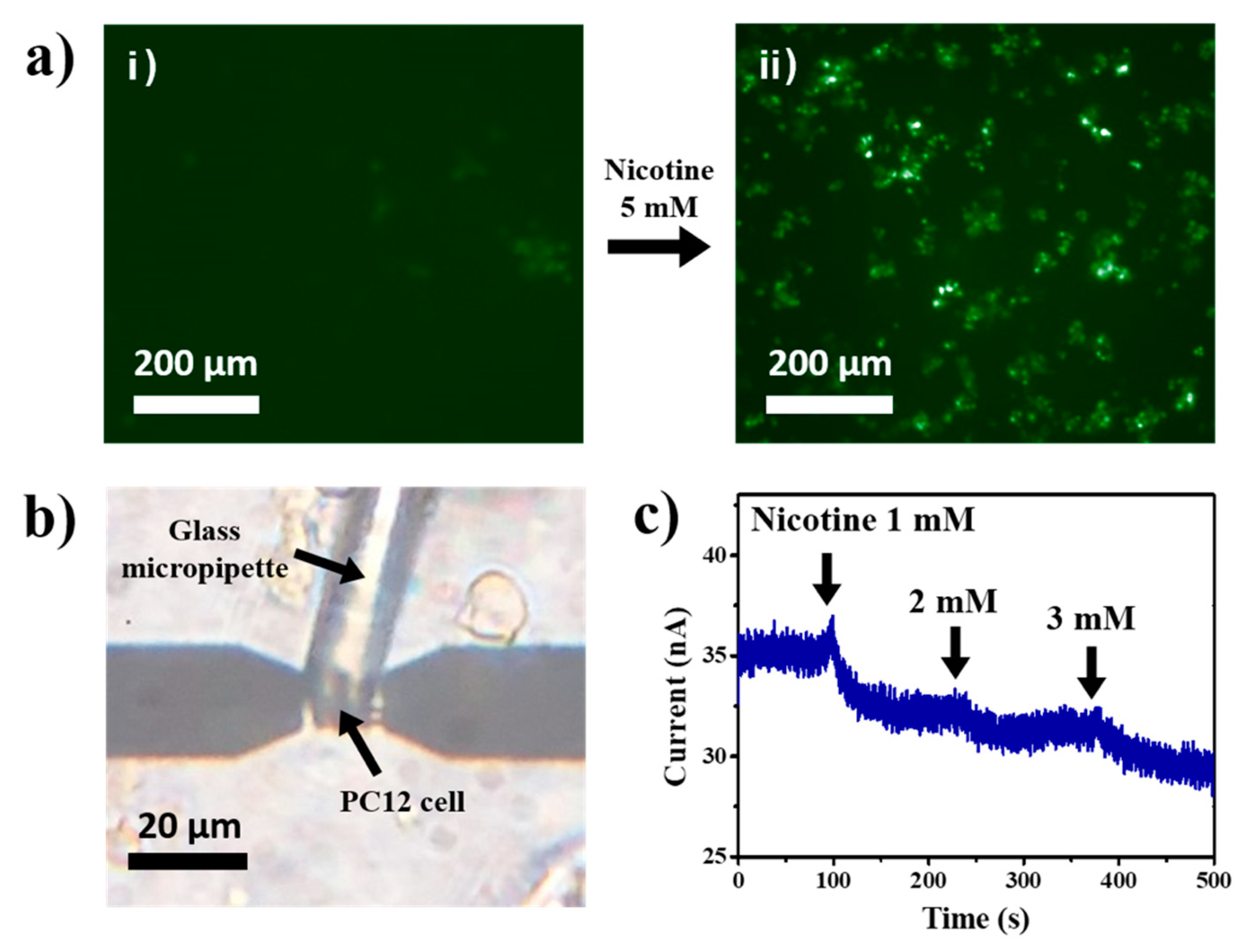 Sensors 20 03680 g004