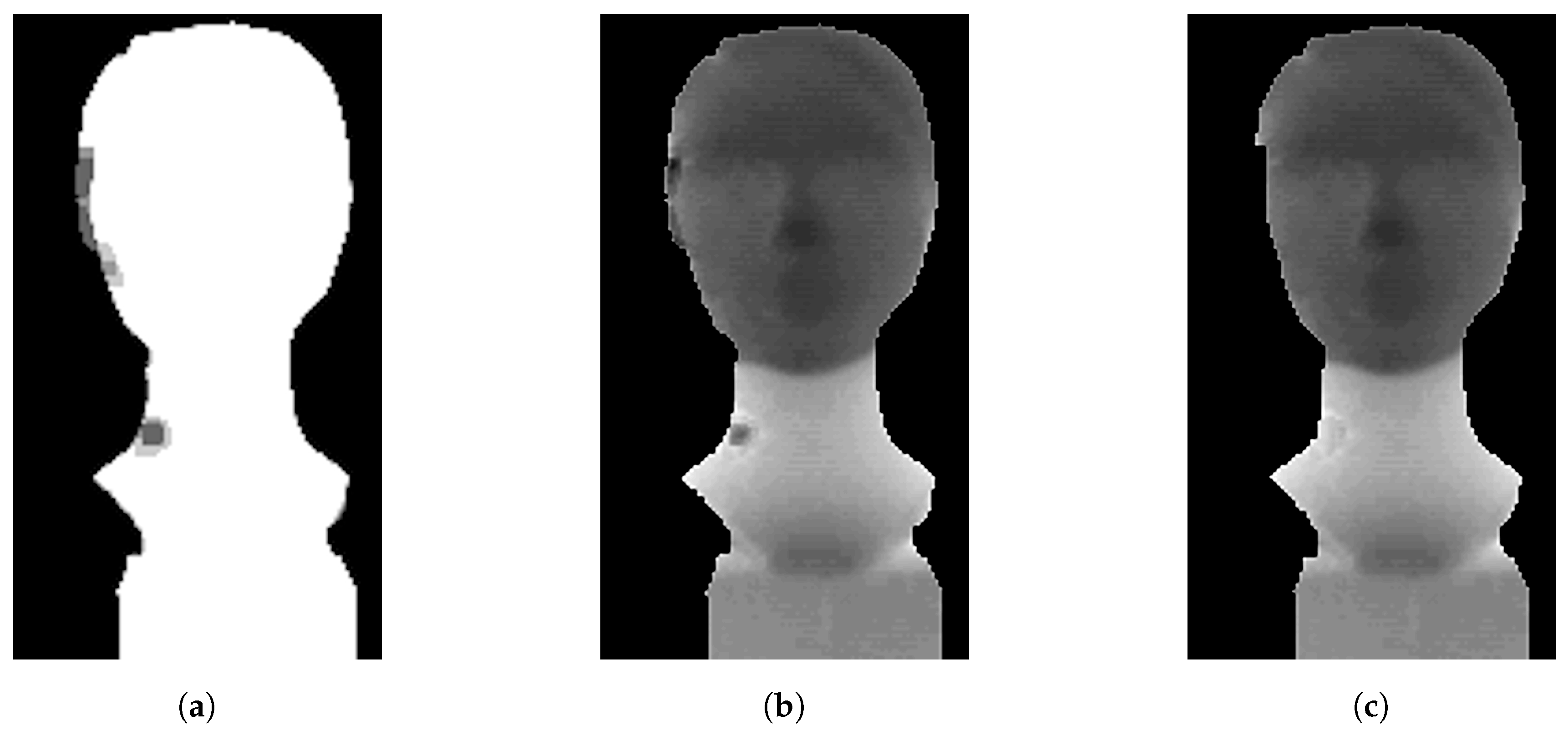 Sensors 20 03701 g009