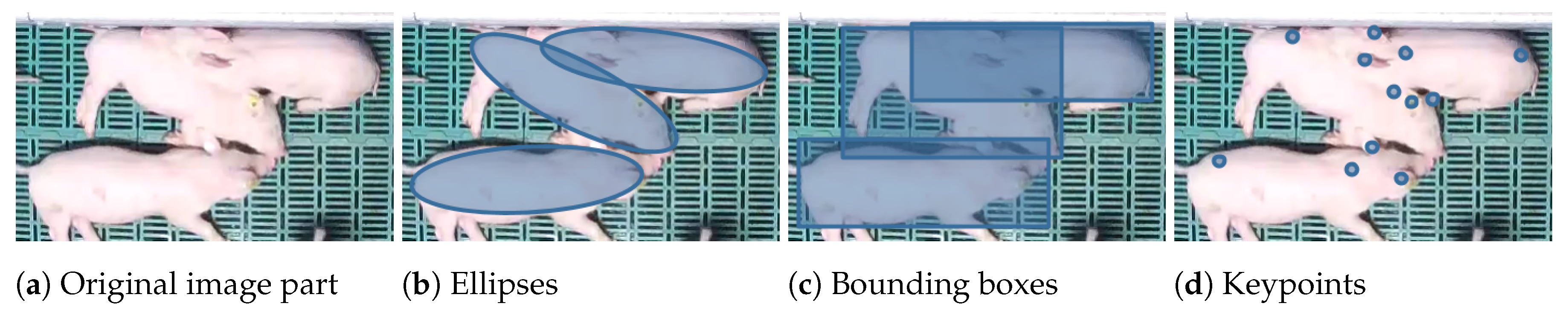 Sensors 20 03710 g001