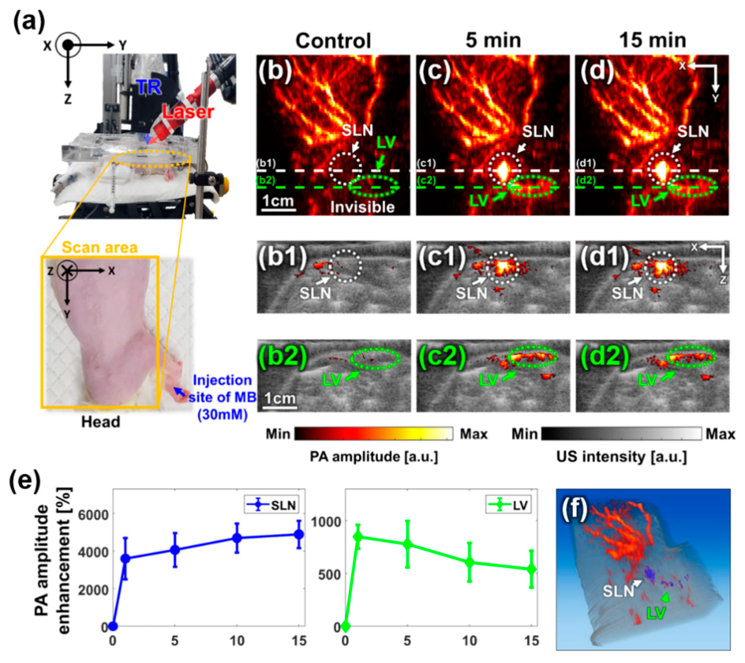 Sensors 20 03714 g004 Sensors 20 03714 g004