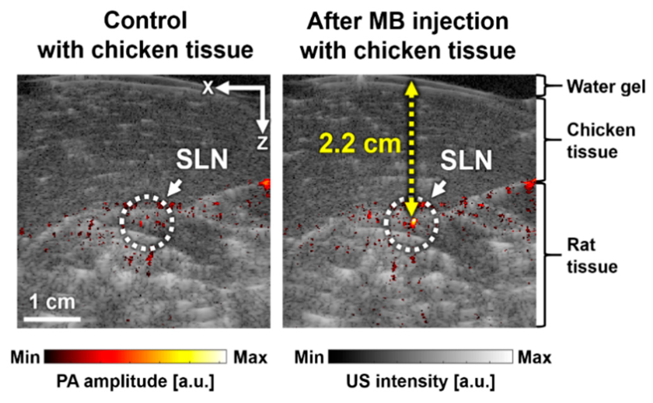 Sensors 20 03714 g005 Sensors 20 03714 g005