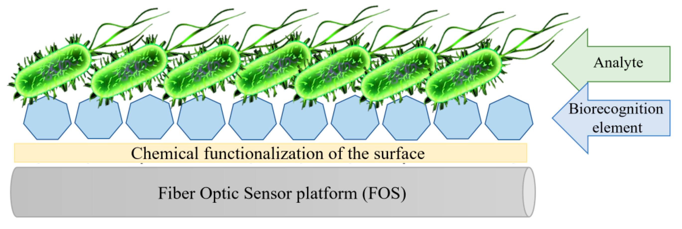 Sensors 20 03772 g008