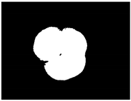 Sensors 20 03783 i004