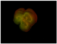 Sensors 20 03783 i007