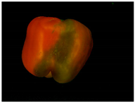 Sensors 20 03783 i009