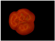 Sensors 20 03783 i015