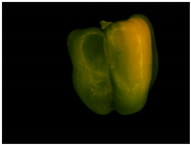 Sensors 20 03783 i021