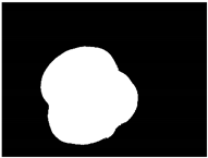 Sensors 20 03783 i024