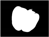 Sensors 20 03783 i026