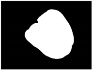 Sensors 20 03783 i030