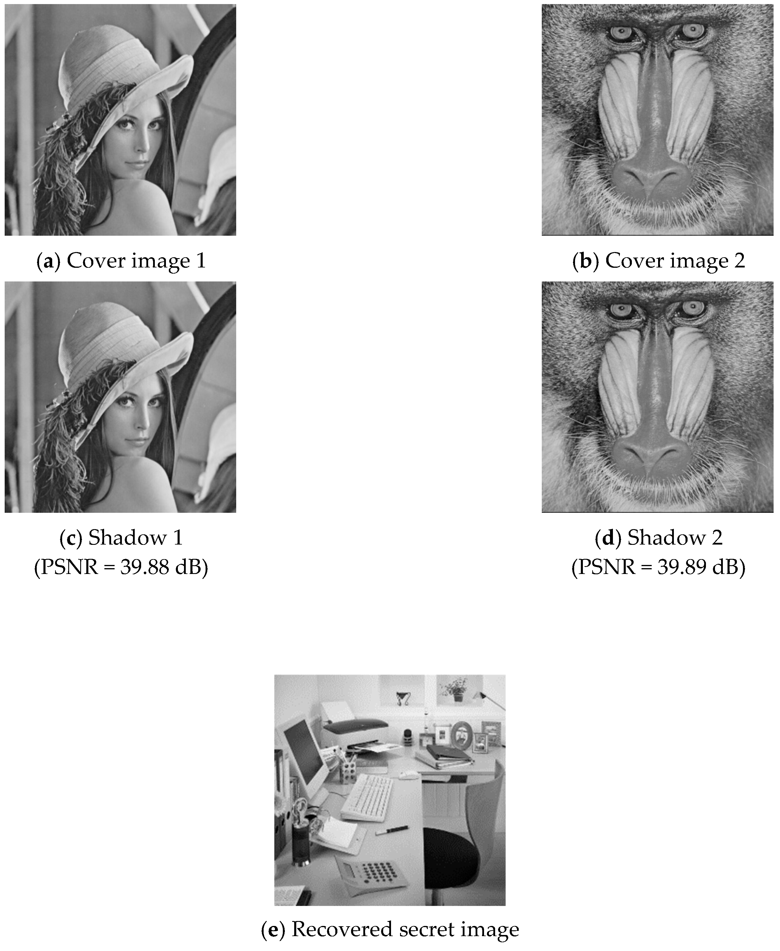 Sensors 20 03802 g005