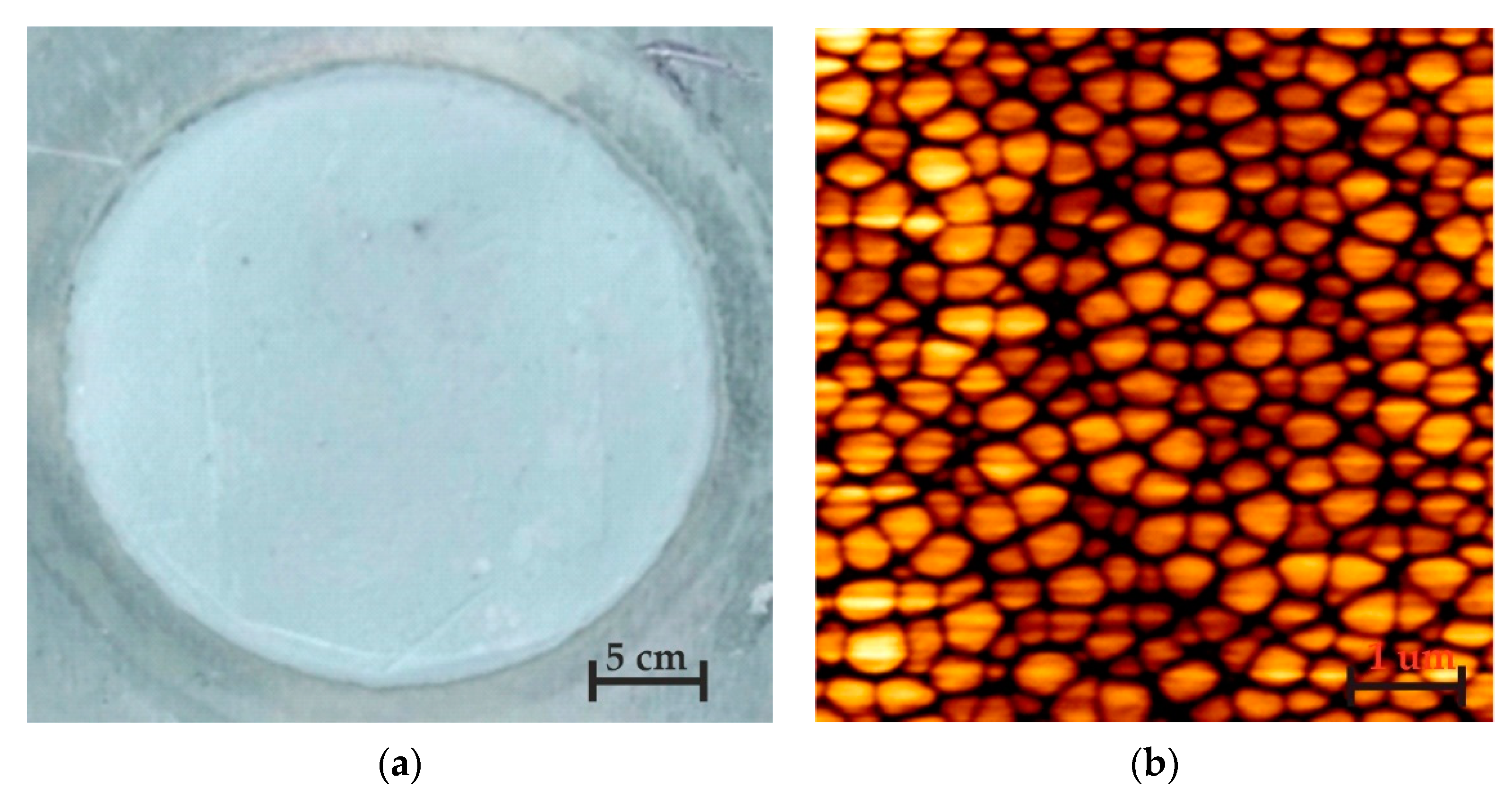 Sensors 20 03833 g006 Sensors 20 03833 g006