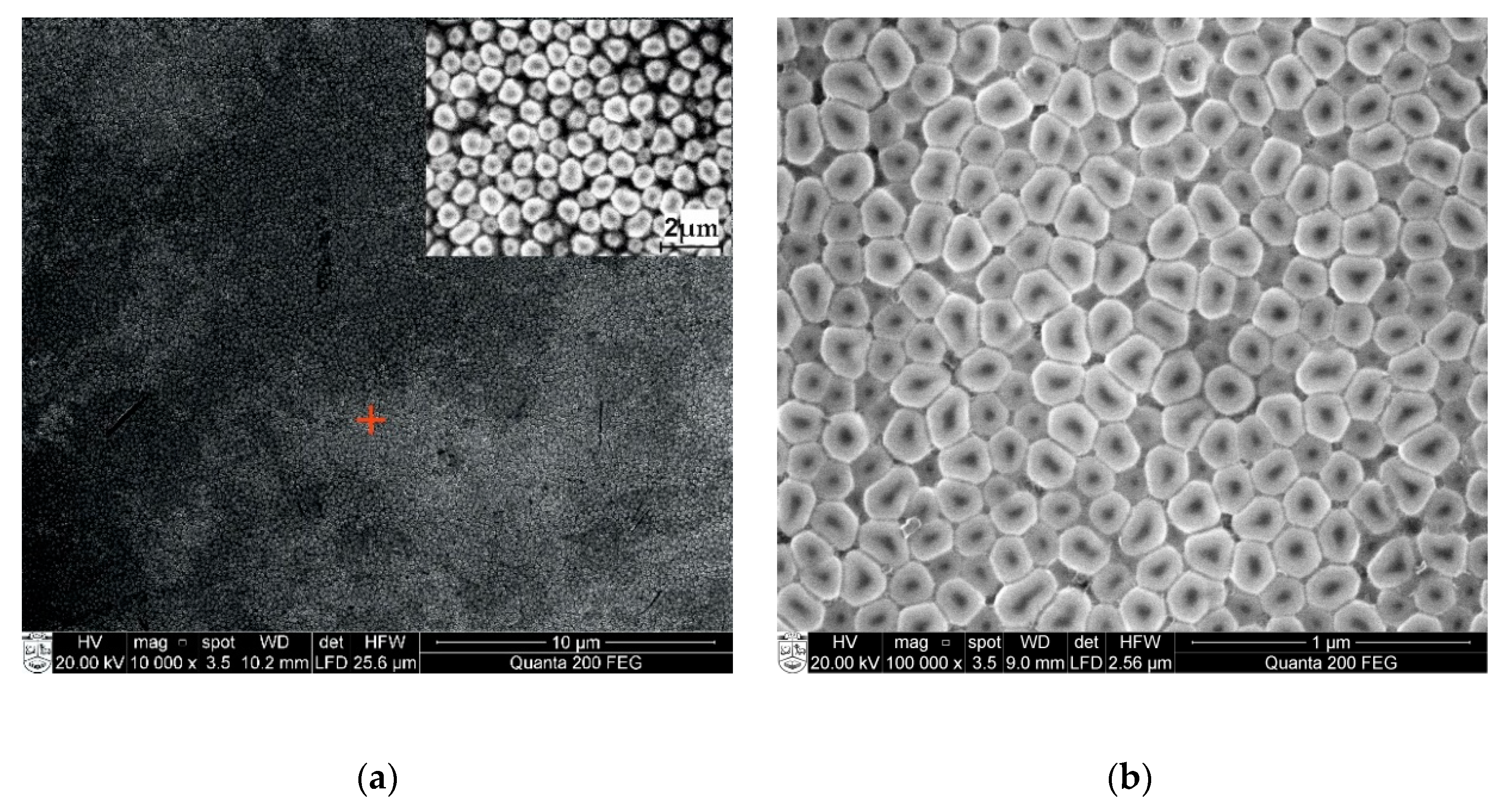 Sensors 20 03833 g008 Sensors 20 03833 g008
