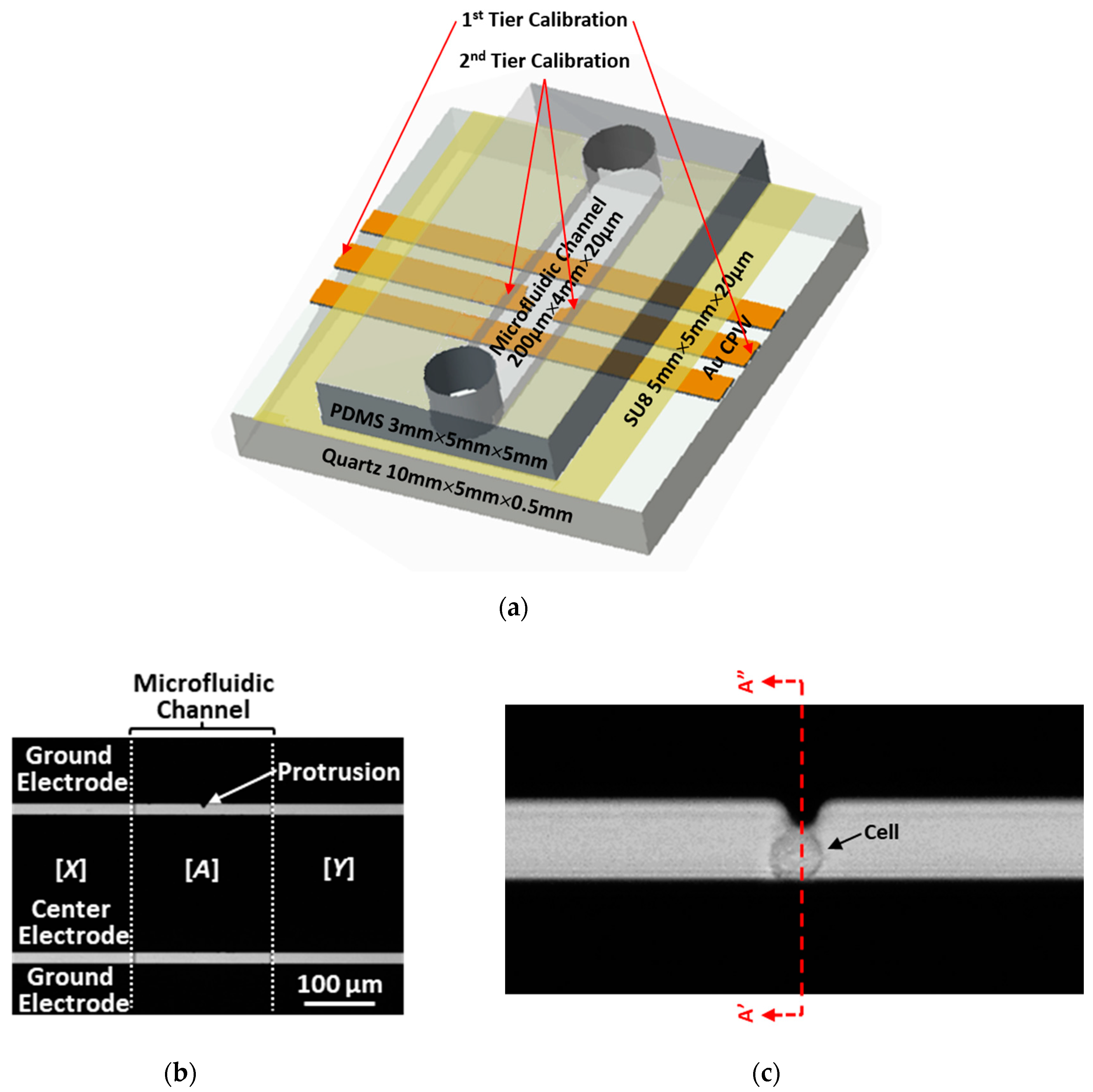 Sensors 20 03844 g001 Sensors 20 03844 g001