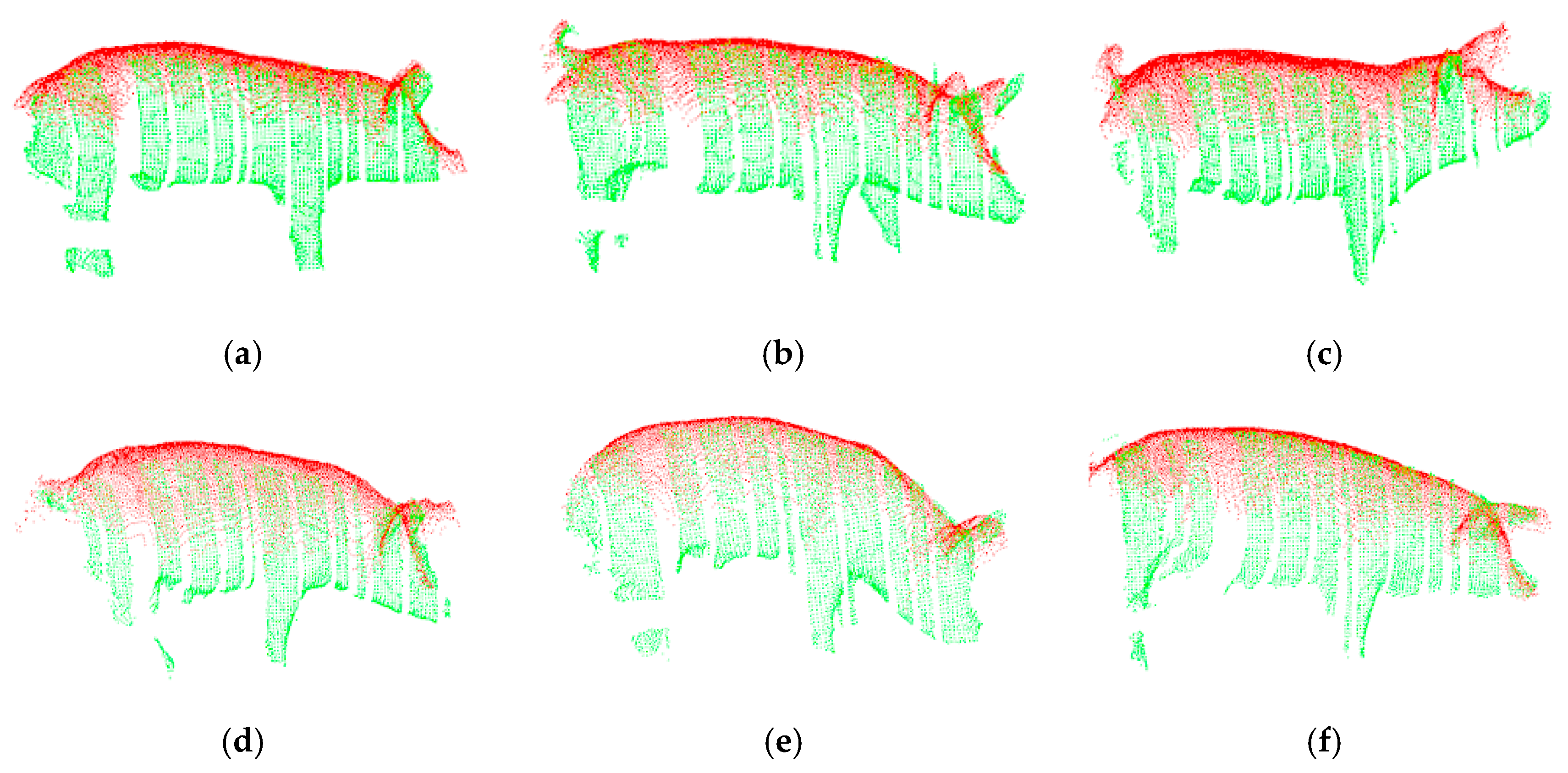Sensors Free FullText Automated Measurement of Heart Girth for