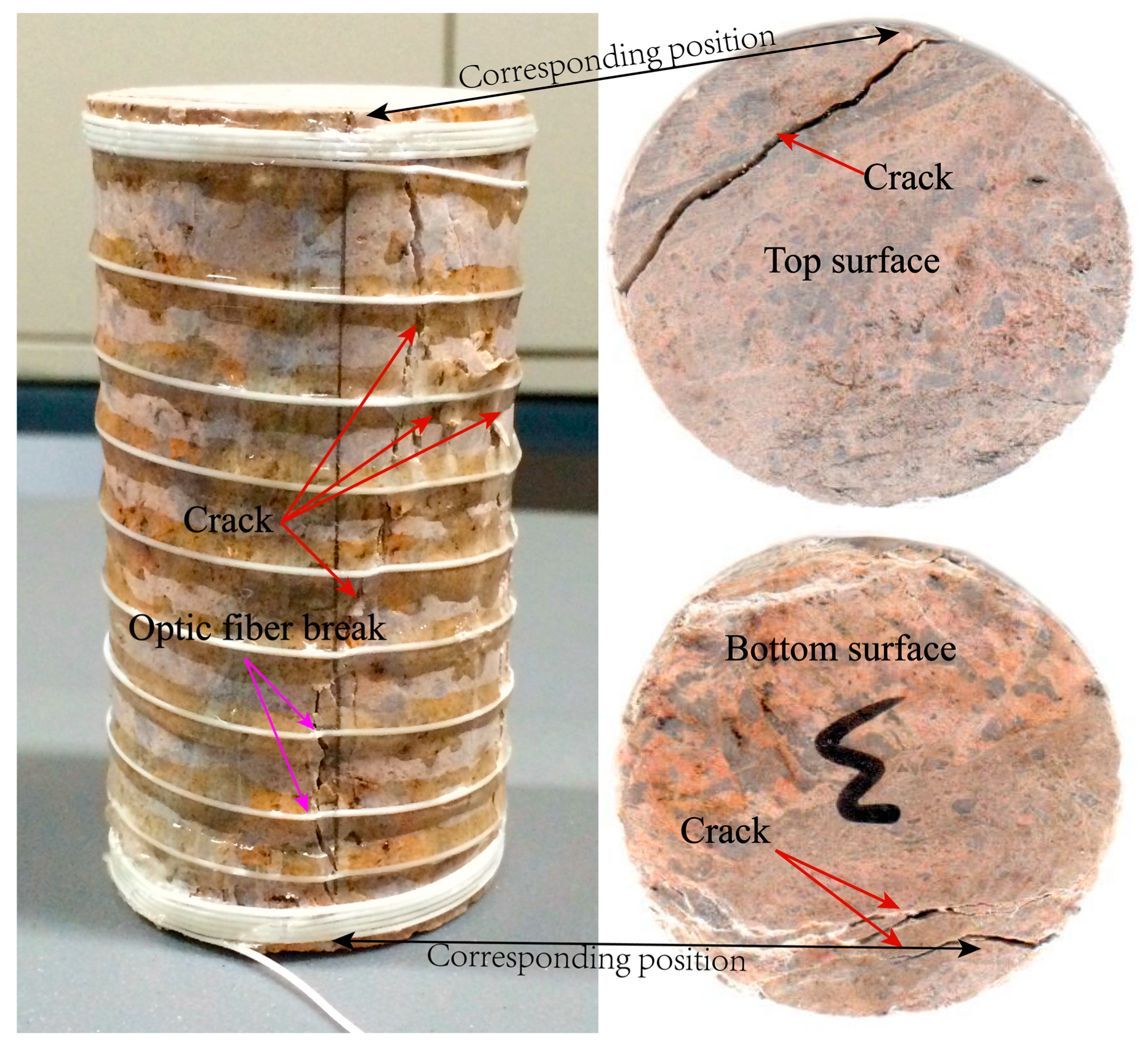 Sensors 20 03853 g011