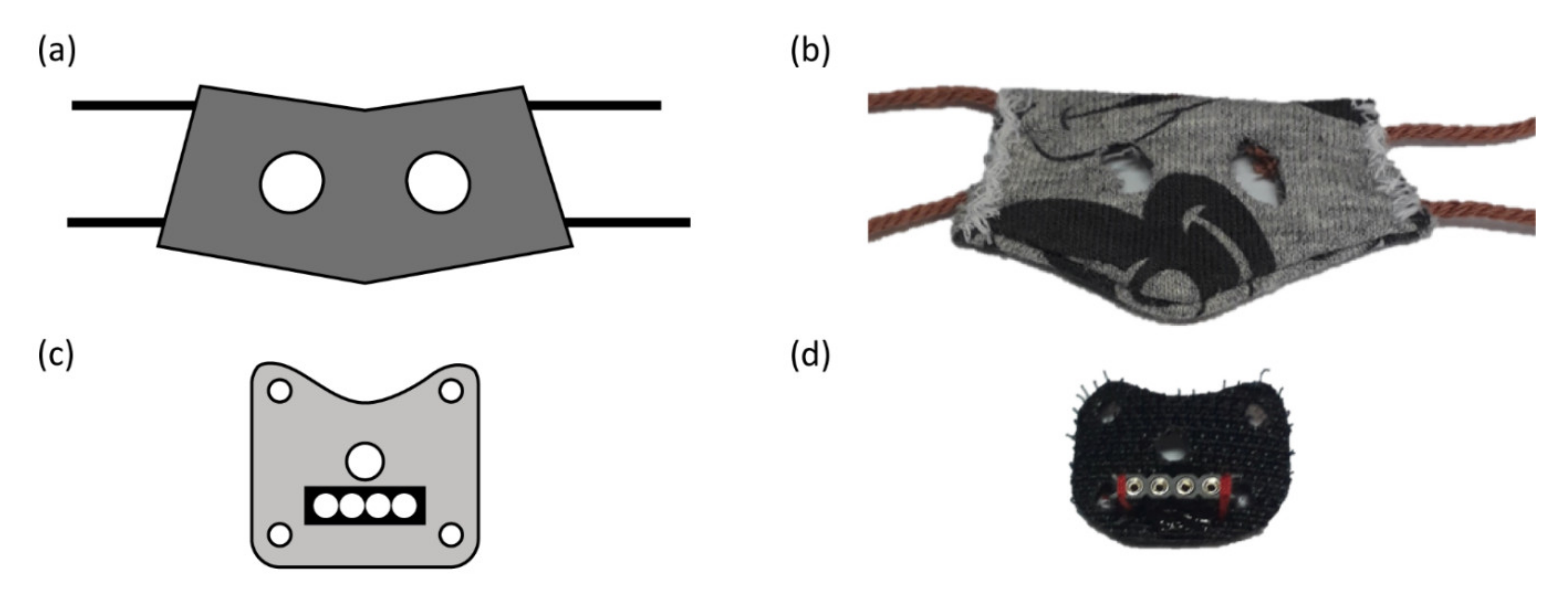 Sensors 20 03867 g001