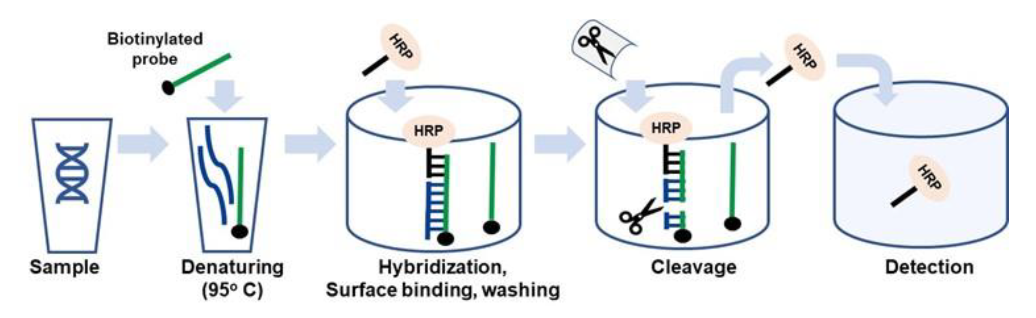 Sensors 20 03873 g002