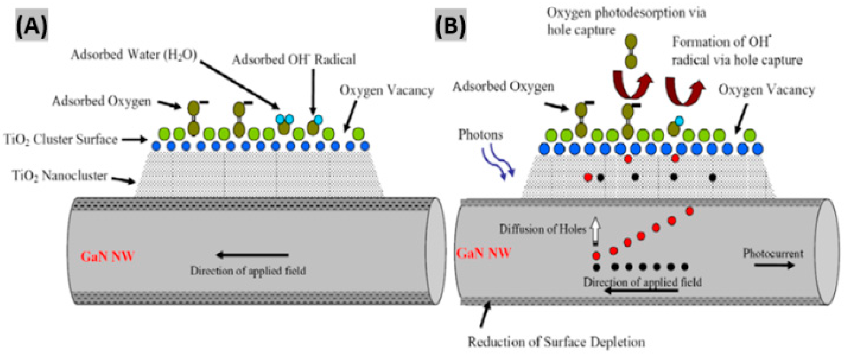 Sensors 20 03889 g009a