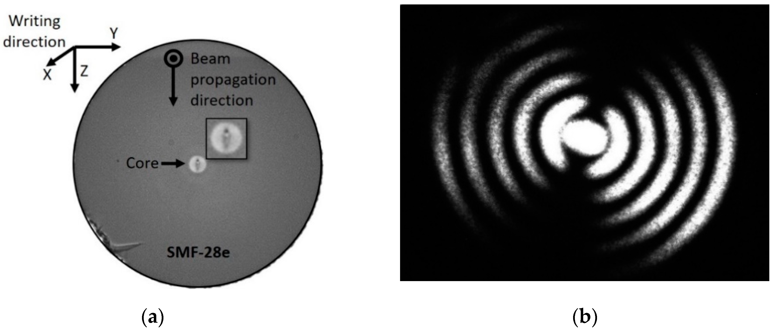 Sensors 20 03898 g004 Sensors 20 03898 g004