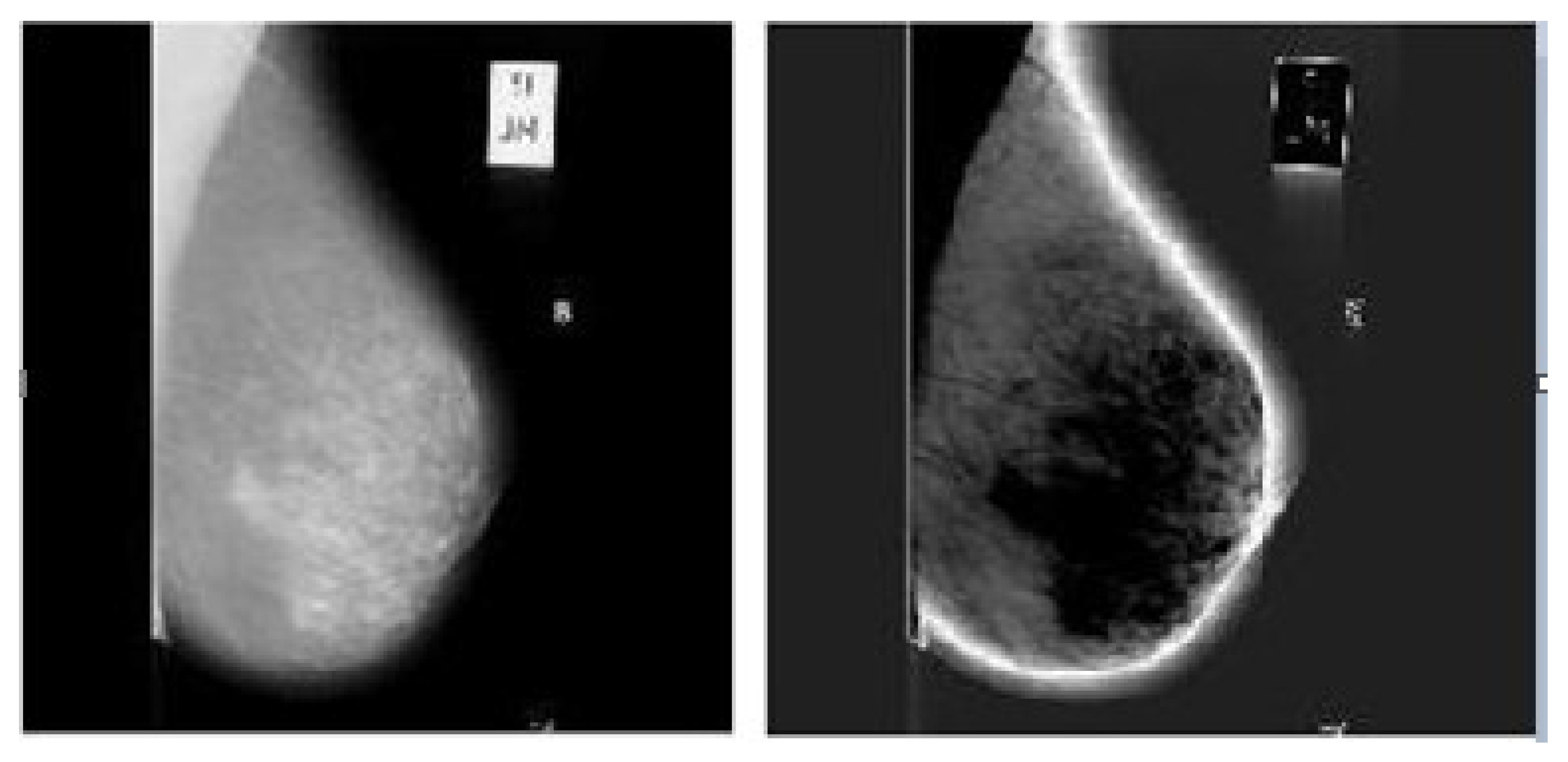 Sensors 20 03903 g004