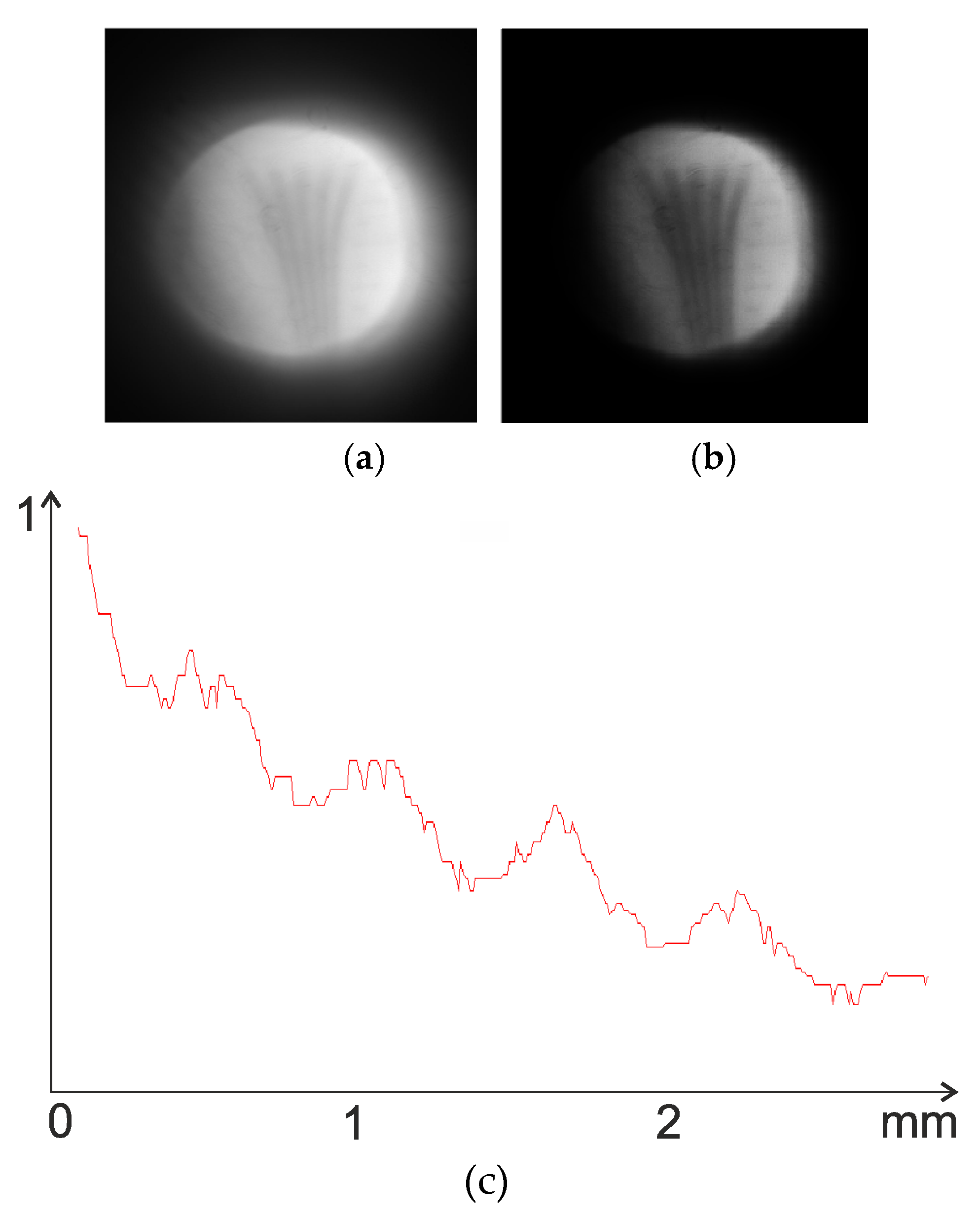 Sensors 20 03914 g013