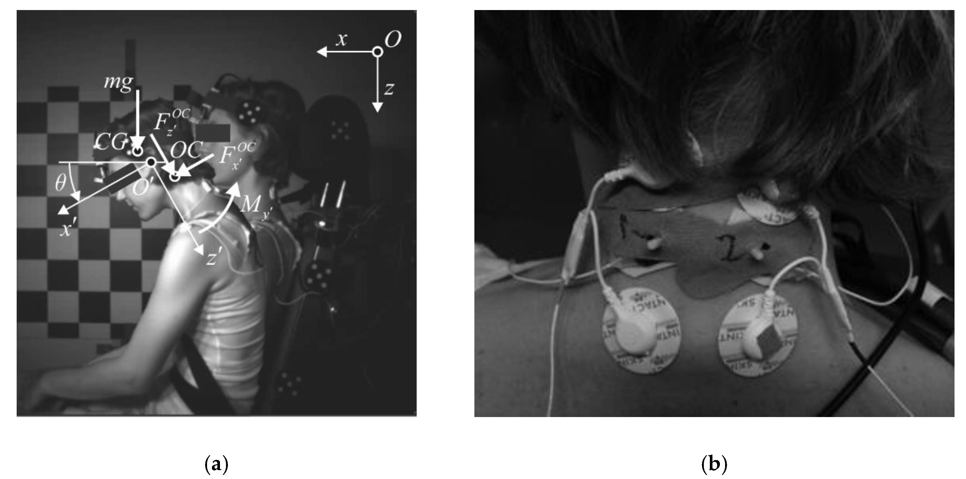 Sensors 20 03942 g001 Sensors 20 03942 g001