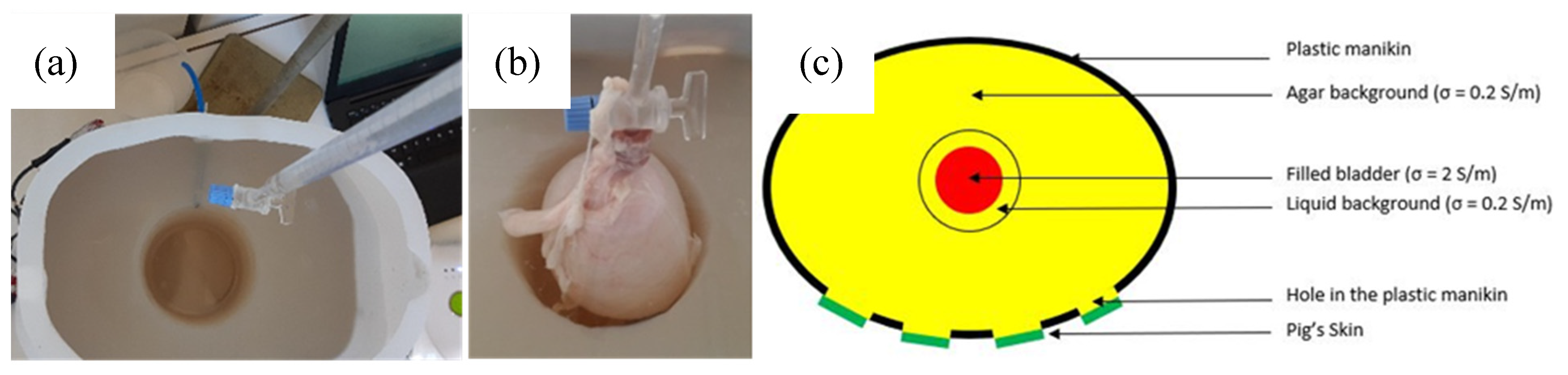 Sensors 20 03980 g003 Sensors 20 03980 g003