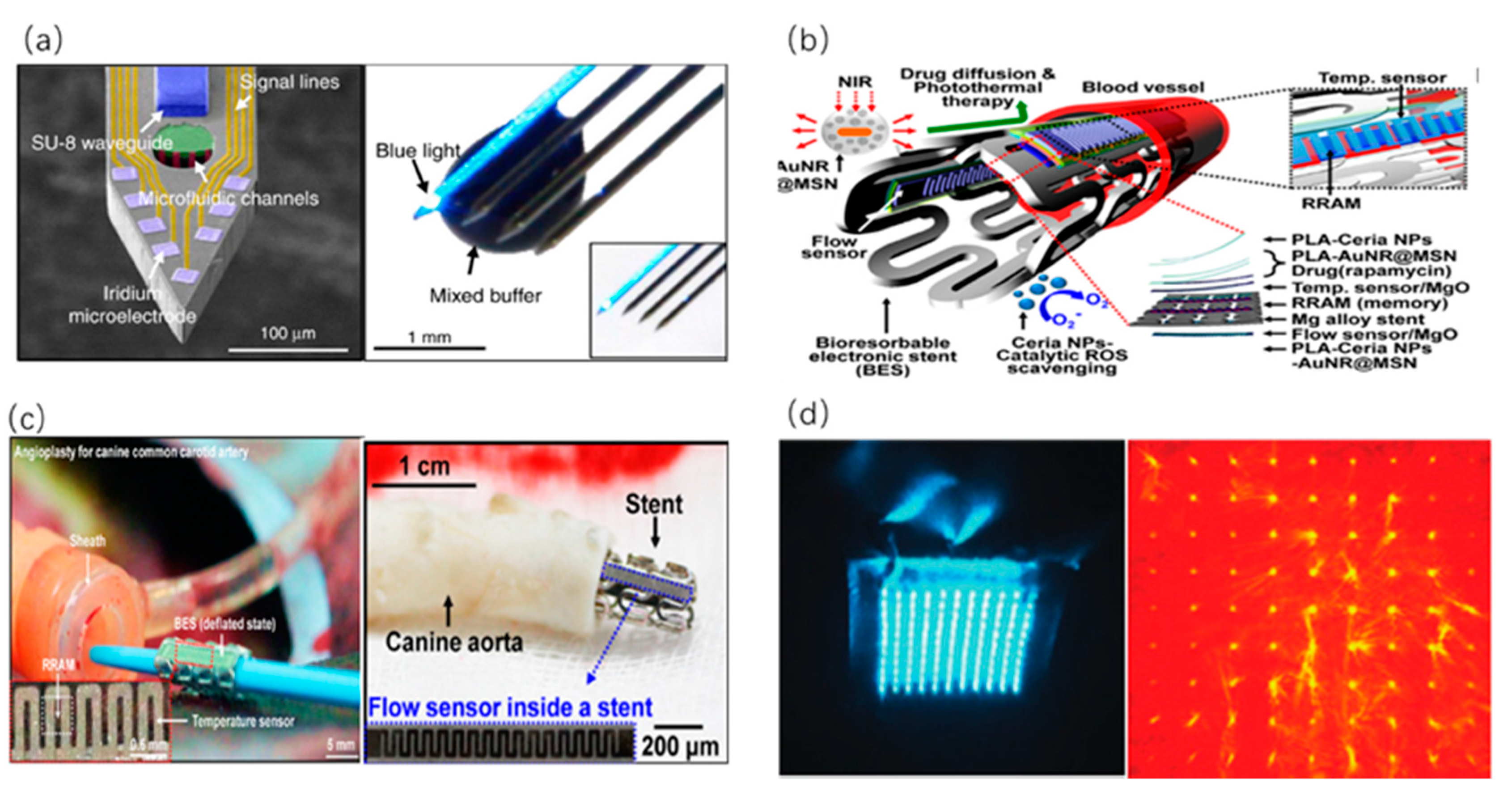Sensors 20 03981 g005 Sensors 20 03981 g005