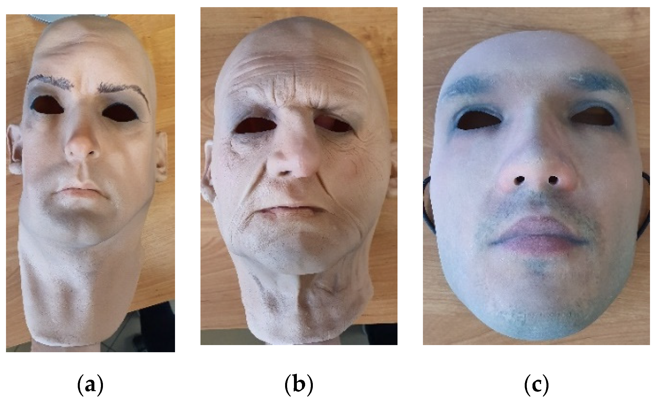 Sensors 20 03988 g001