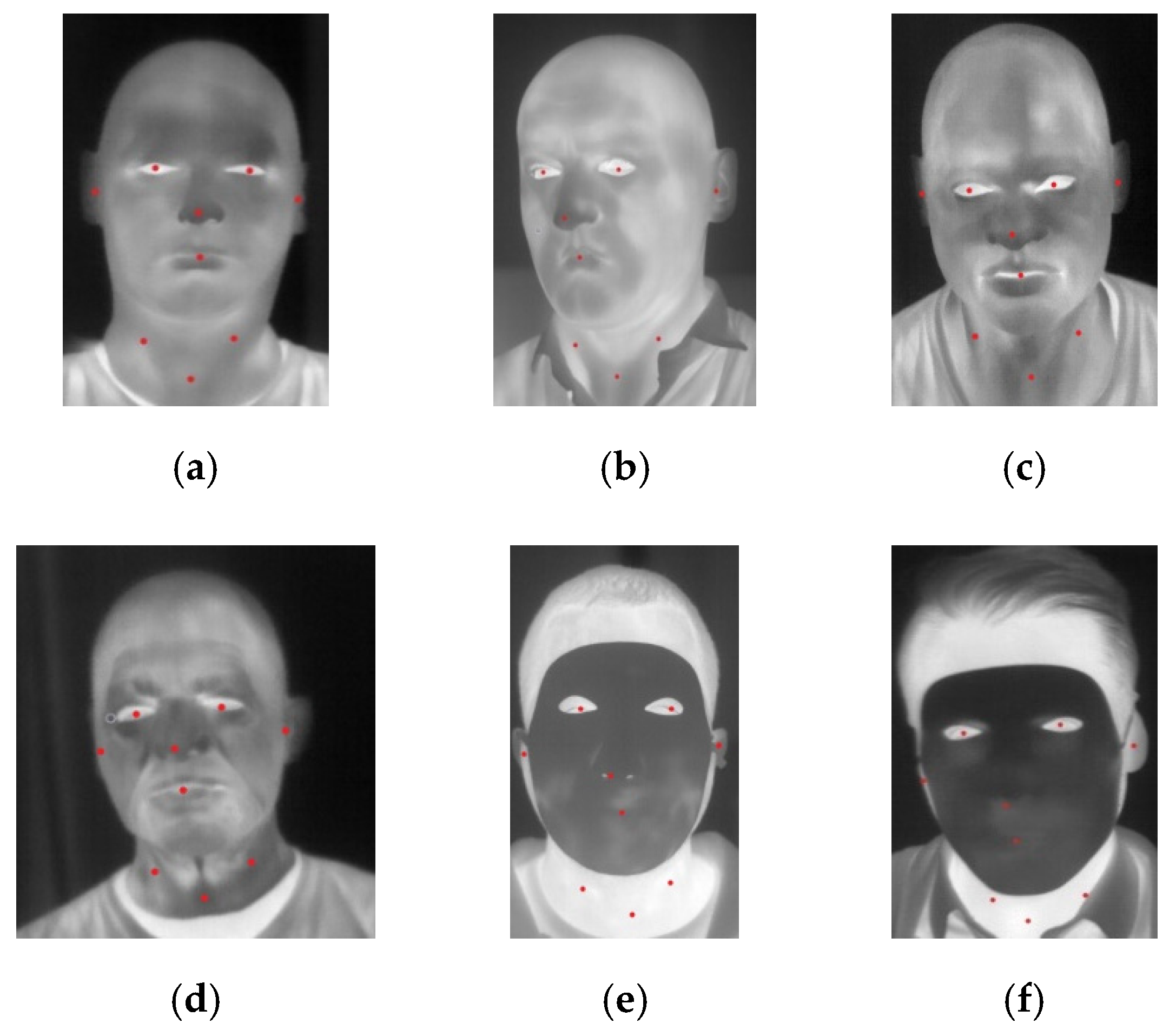 Sensors 20 03988 g004