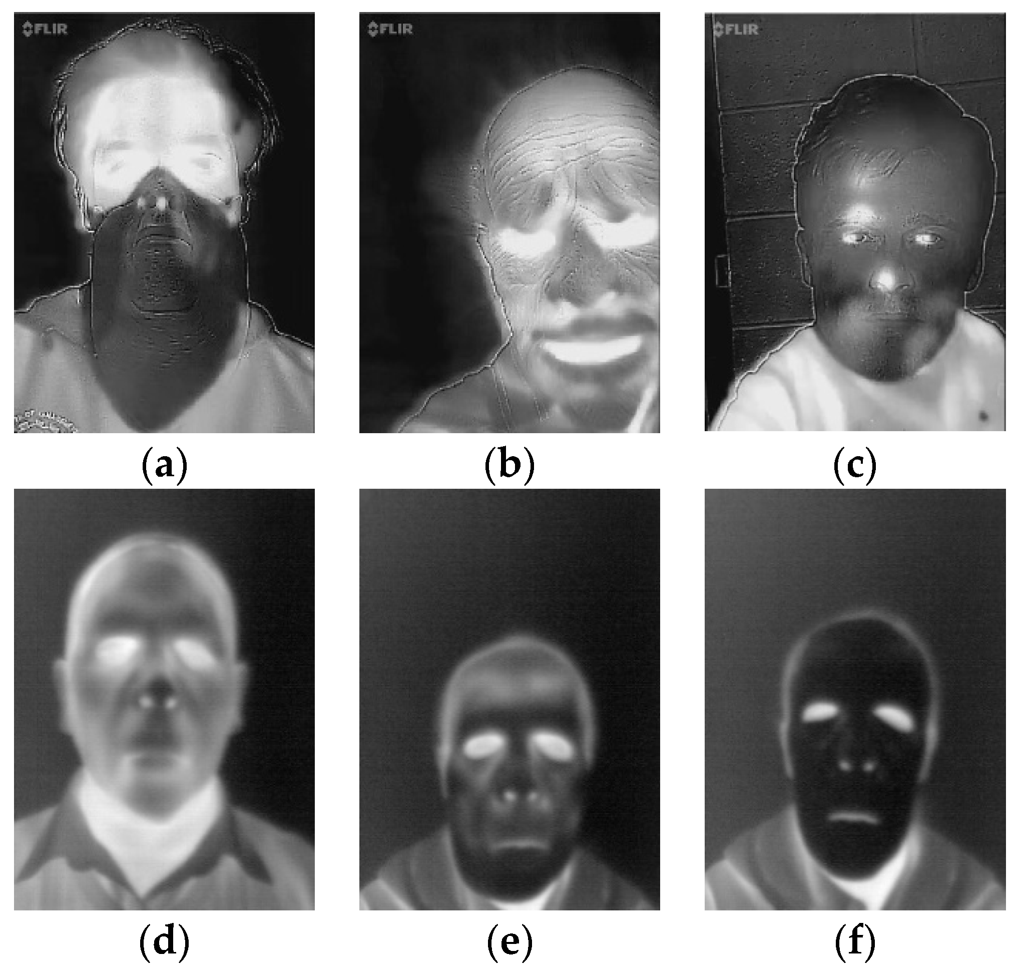 Sensors 20 03988 g006