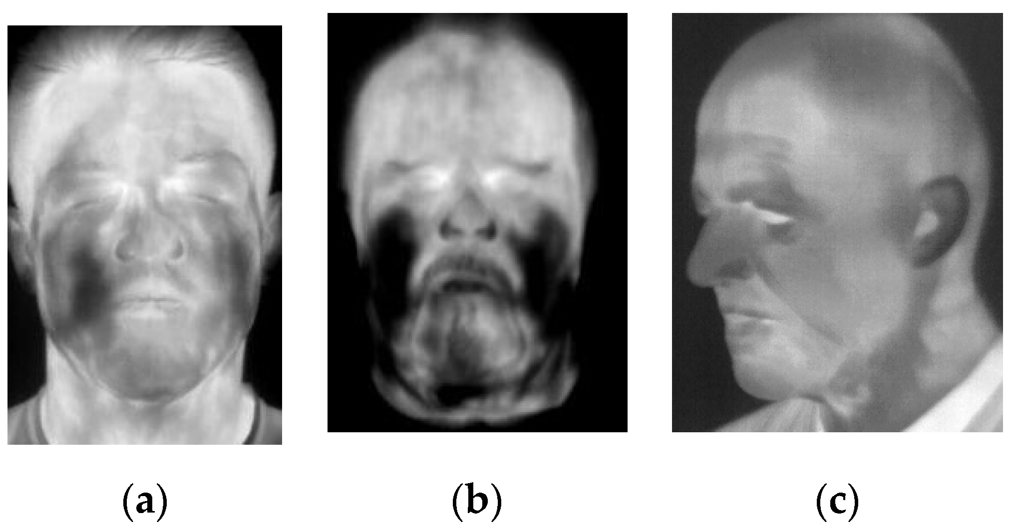 Sensors 20 03988 g008