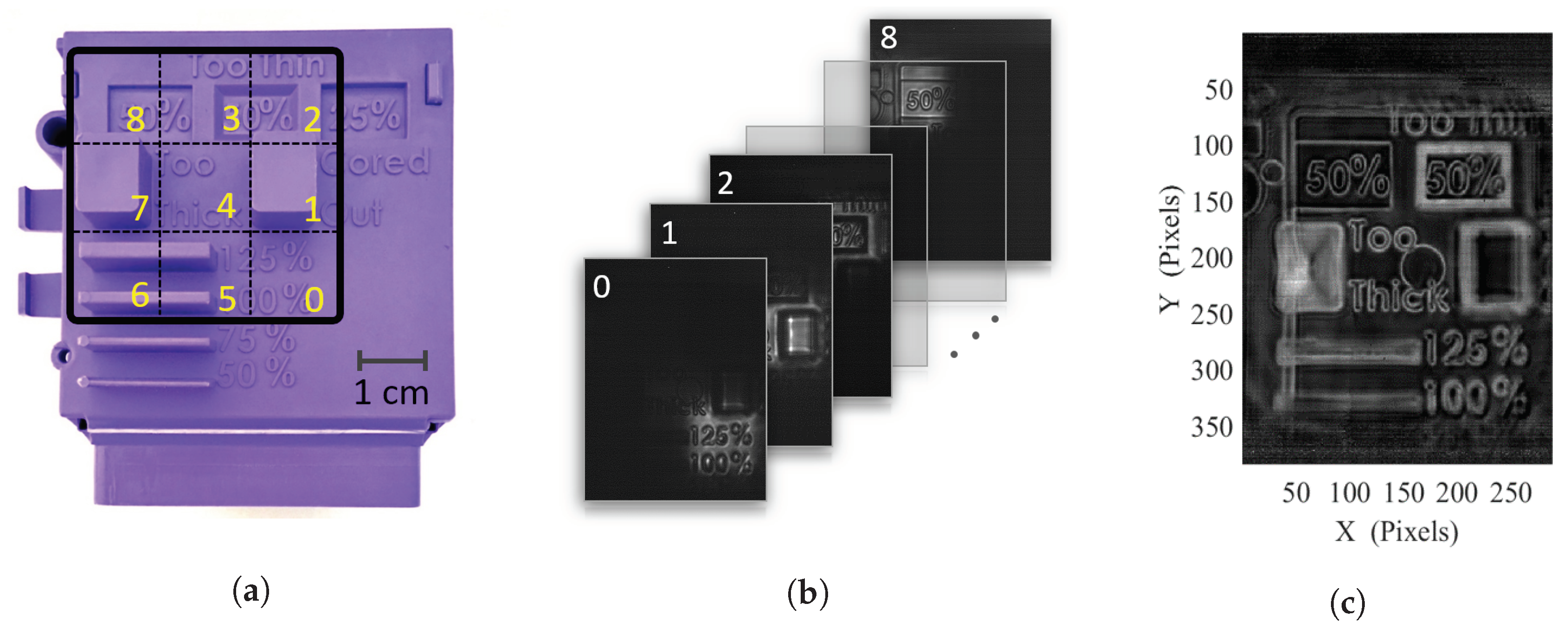 Sensors 20 03993 g007