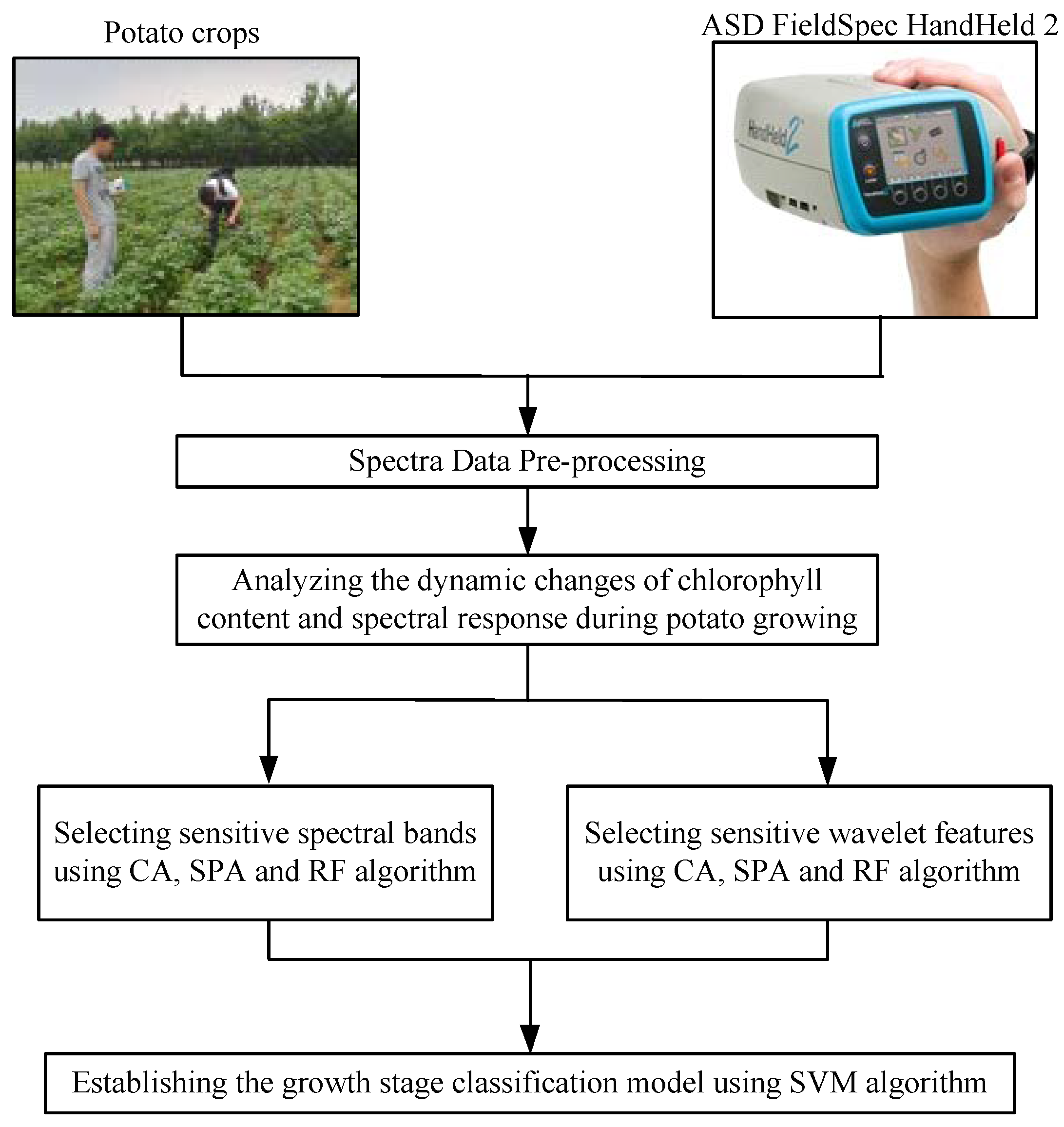 Sensors 20 03995 g001 Sensors 20 03995 g001