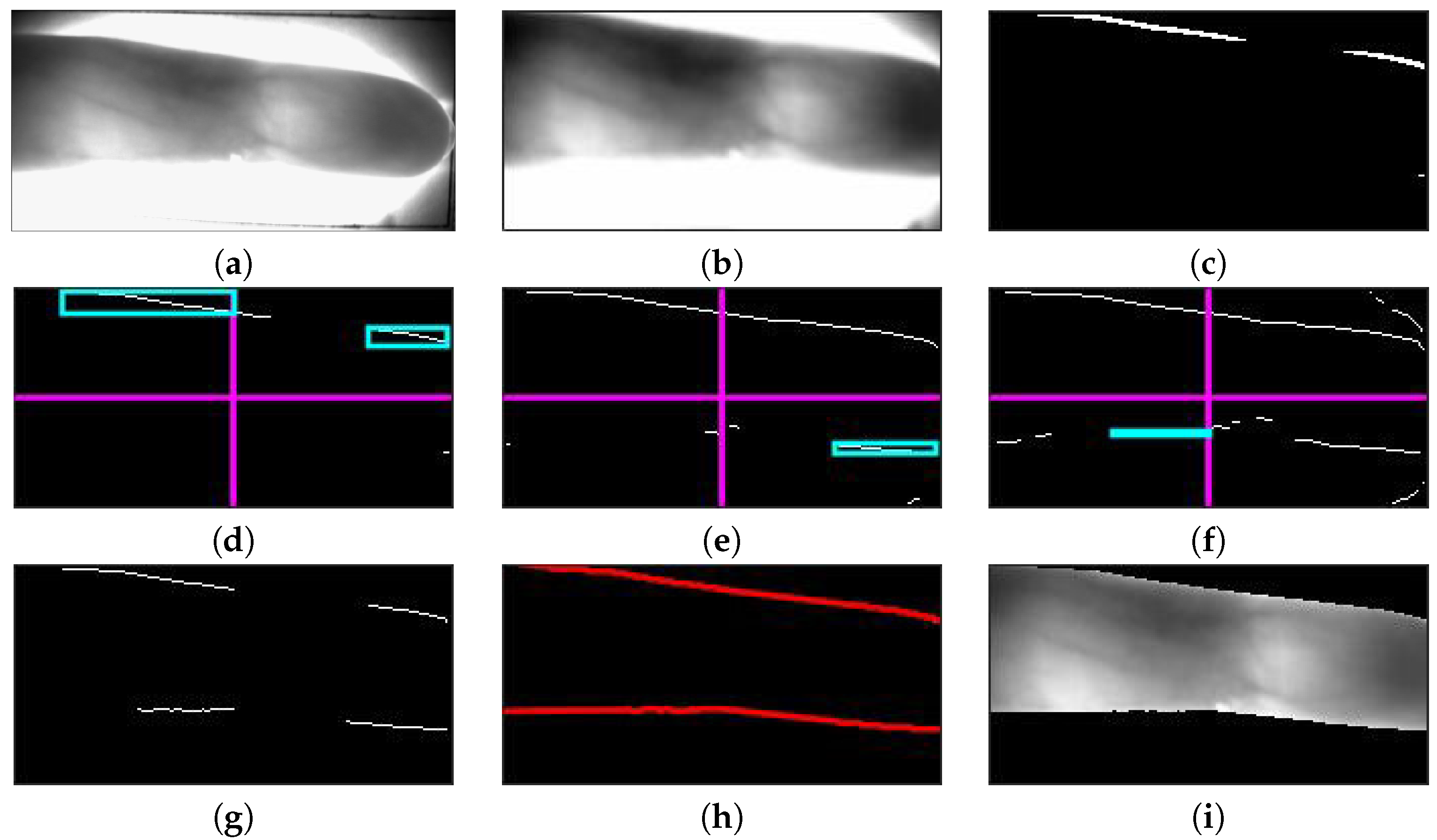 Sensors 20 03997 g001