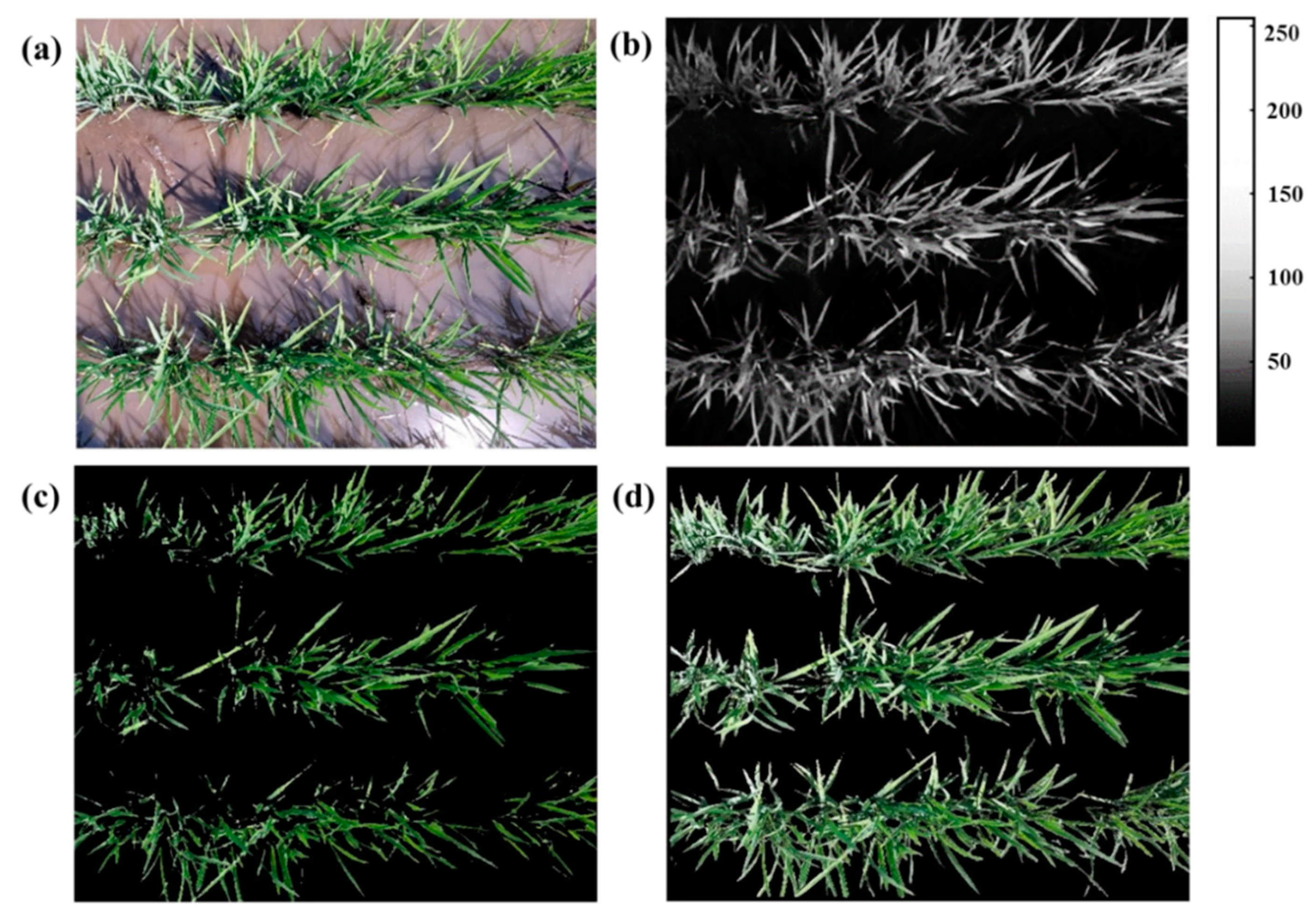Sensors 20 04011 g002 Sensors 20 04011 g002