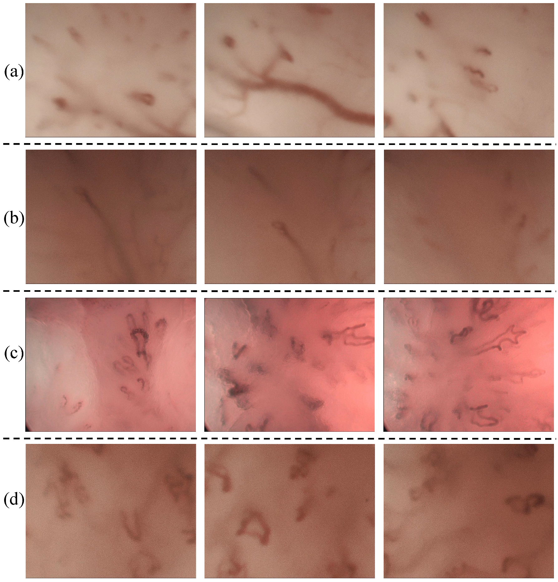 Sensors 20 04018 g003