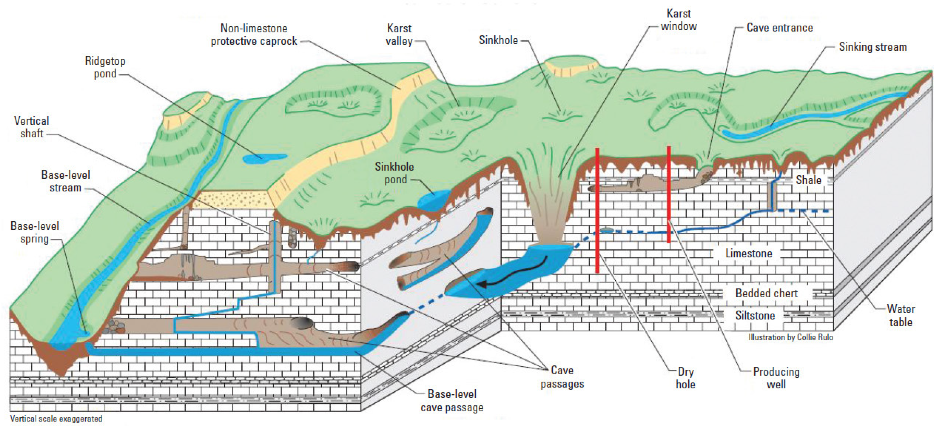 Sensors 20 04028 g001