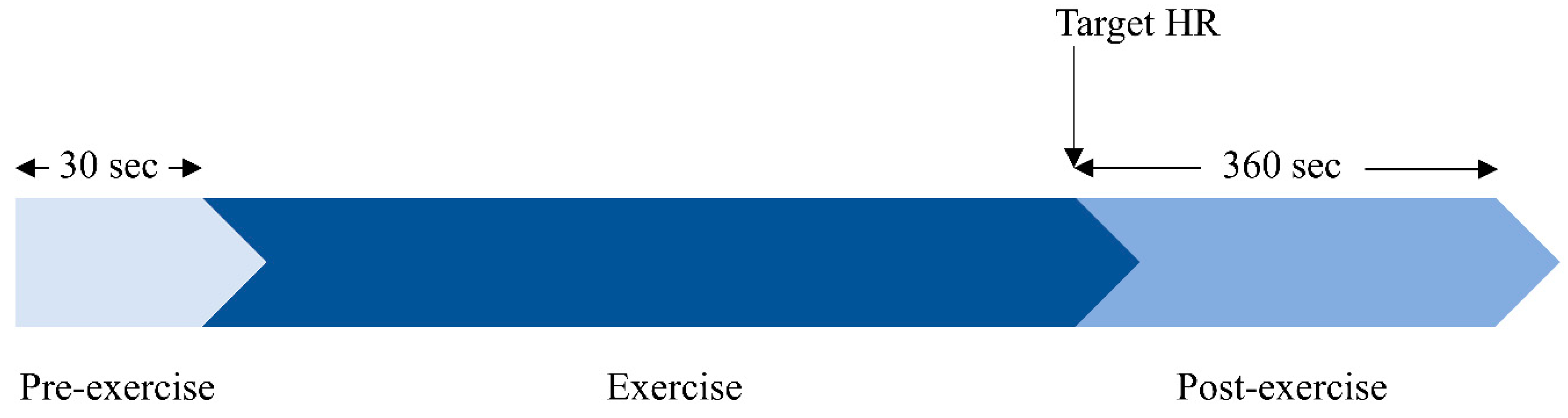 Sensors 20 04029 g001