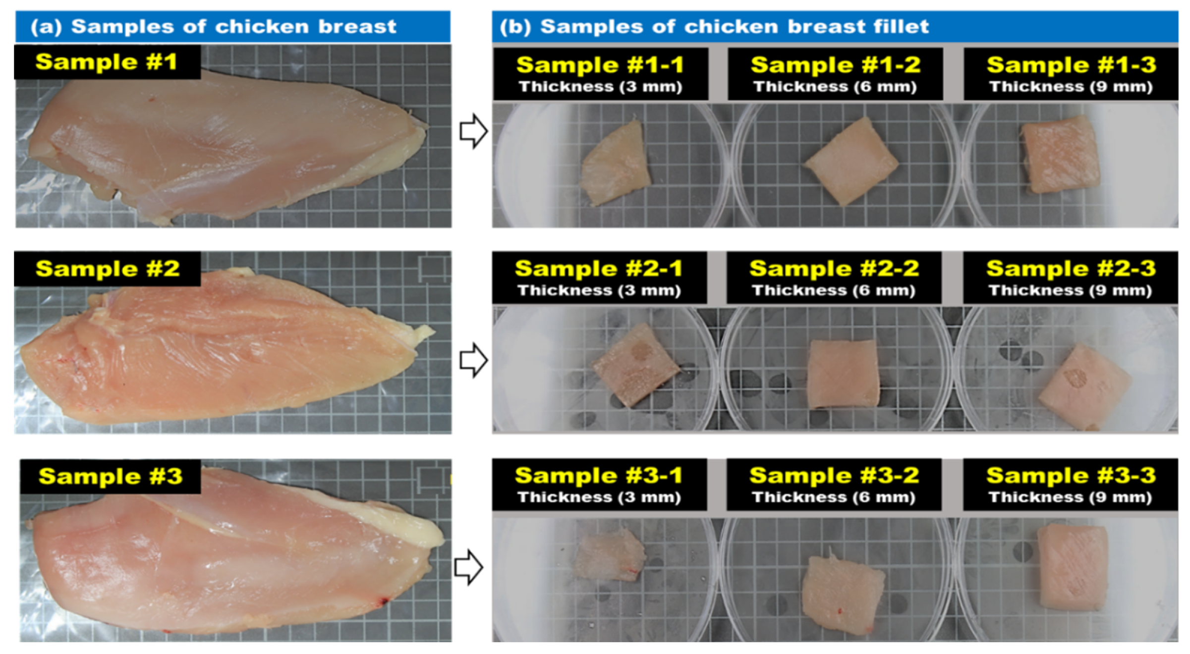 Sensors 20 04038 g002 Sensors 20 04038 g002