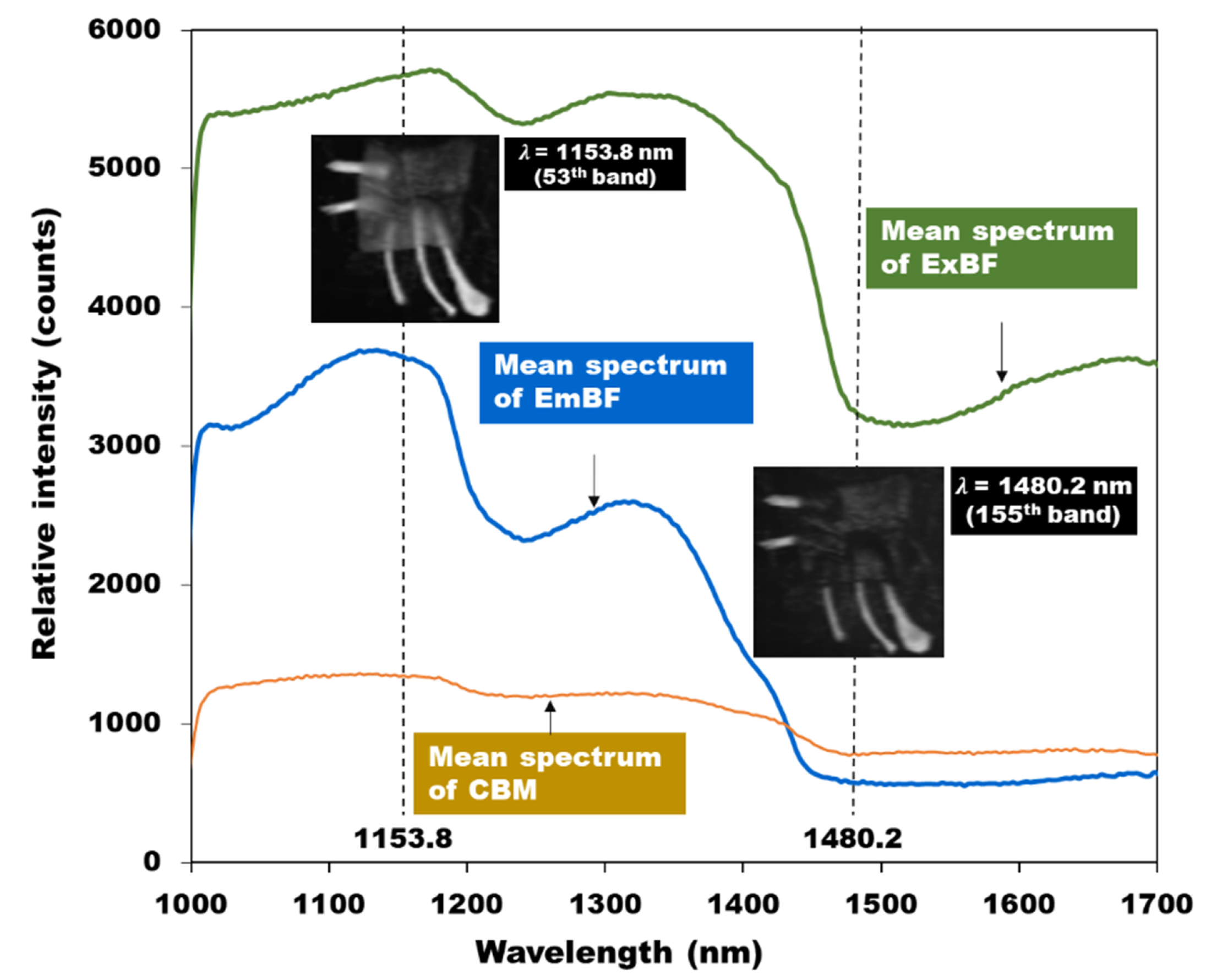 Sensors 20 04038 g008 Sensors 20 04038 g008