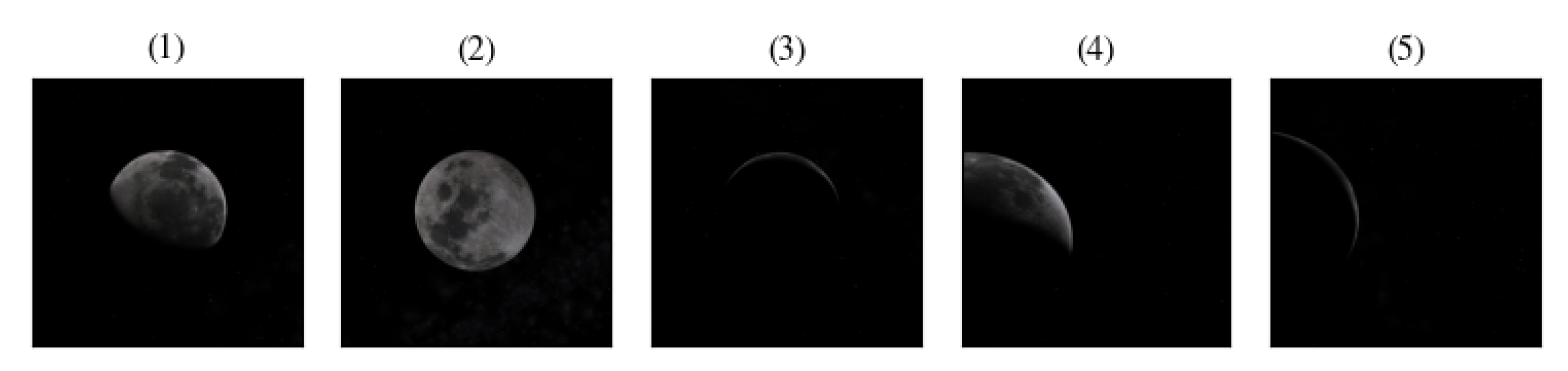 Sensors 20 04041 g005