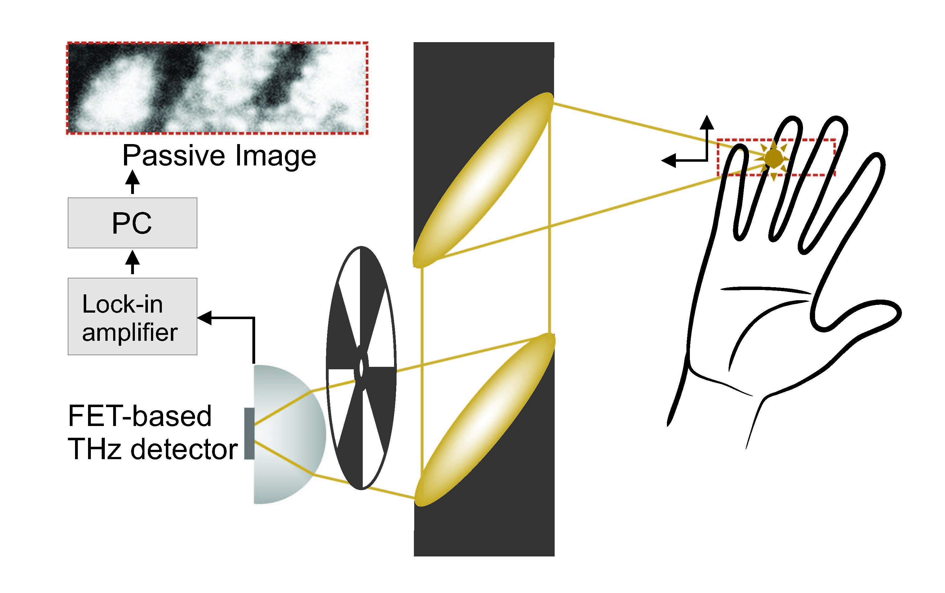 Sensors Free FullText Passive Detection and Imaging of Human Body