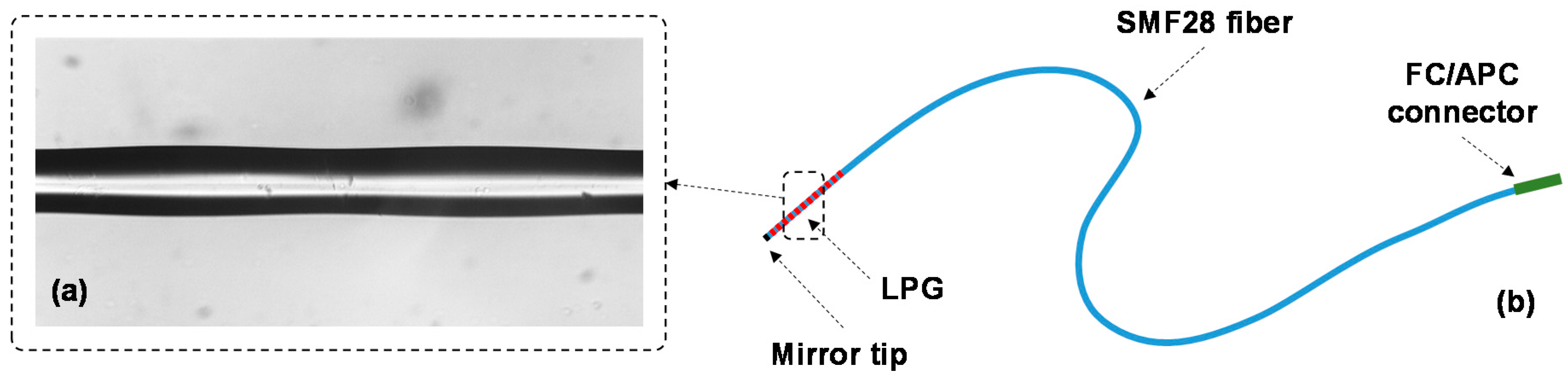 Sensors 20 04129 g005