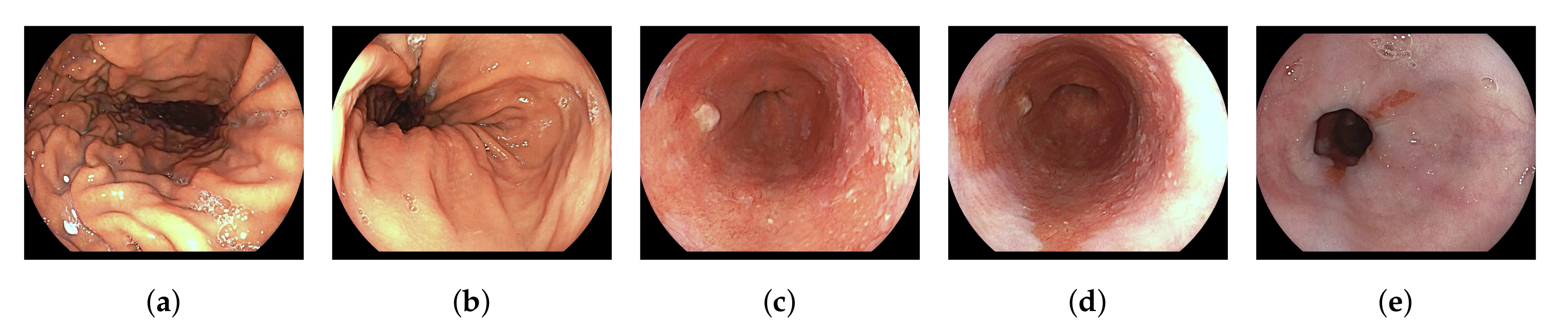 Sensors 20 04133 g001 Sensors 20 04133 g001