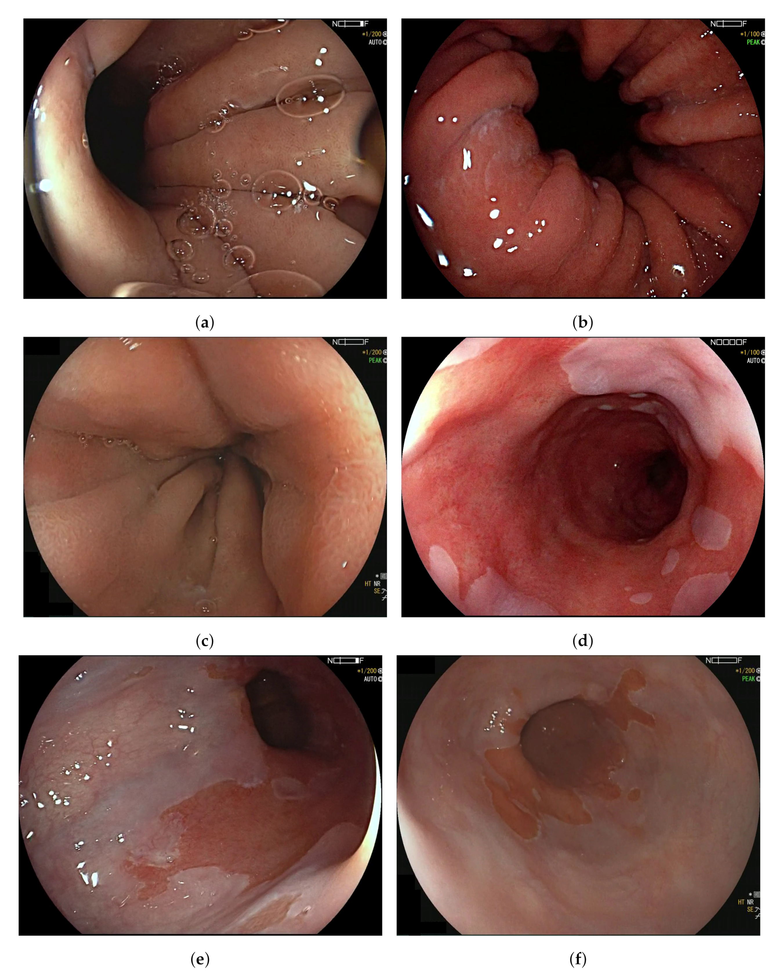 Sensors 20 04133 g0a1 Sensors 20 04133 g0a1