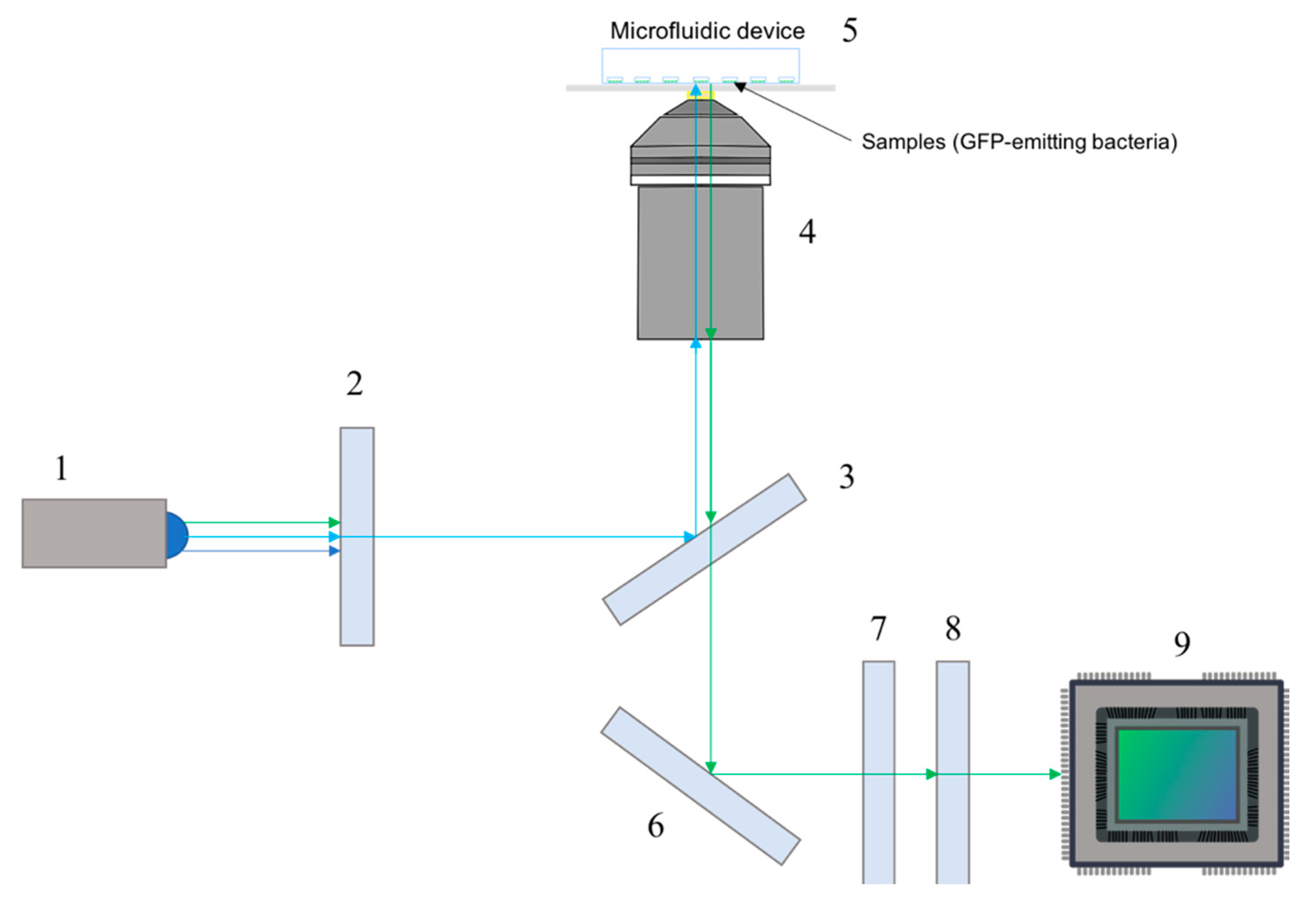 Sensors 20 04140 g002