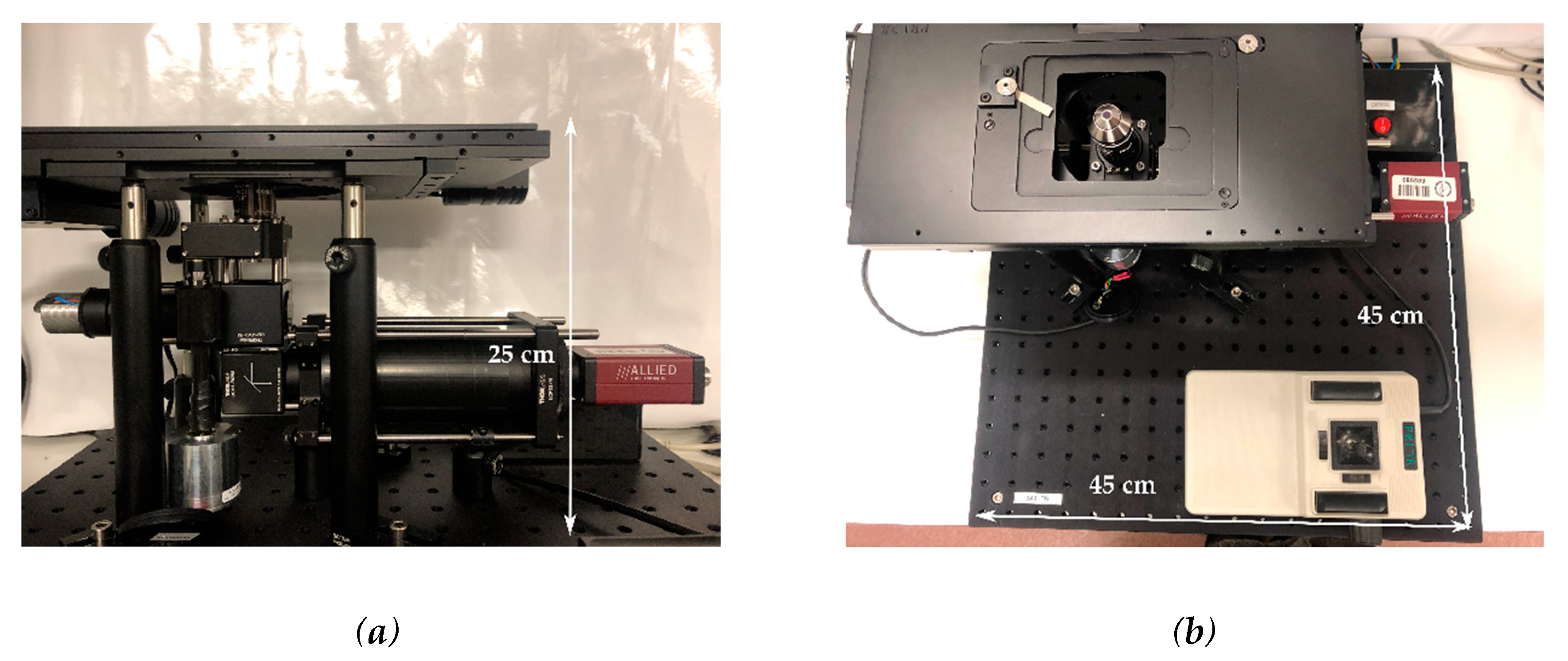 Sensors 20 04140 g003