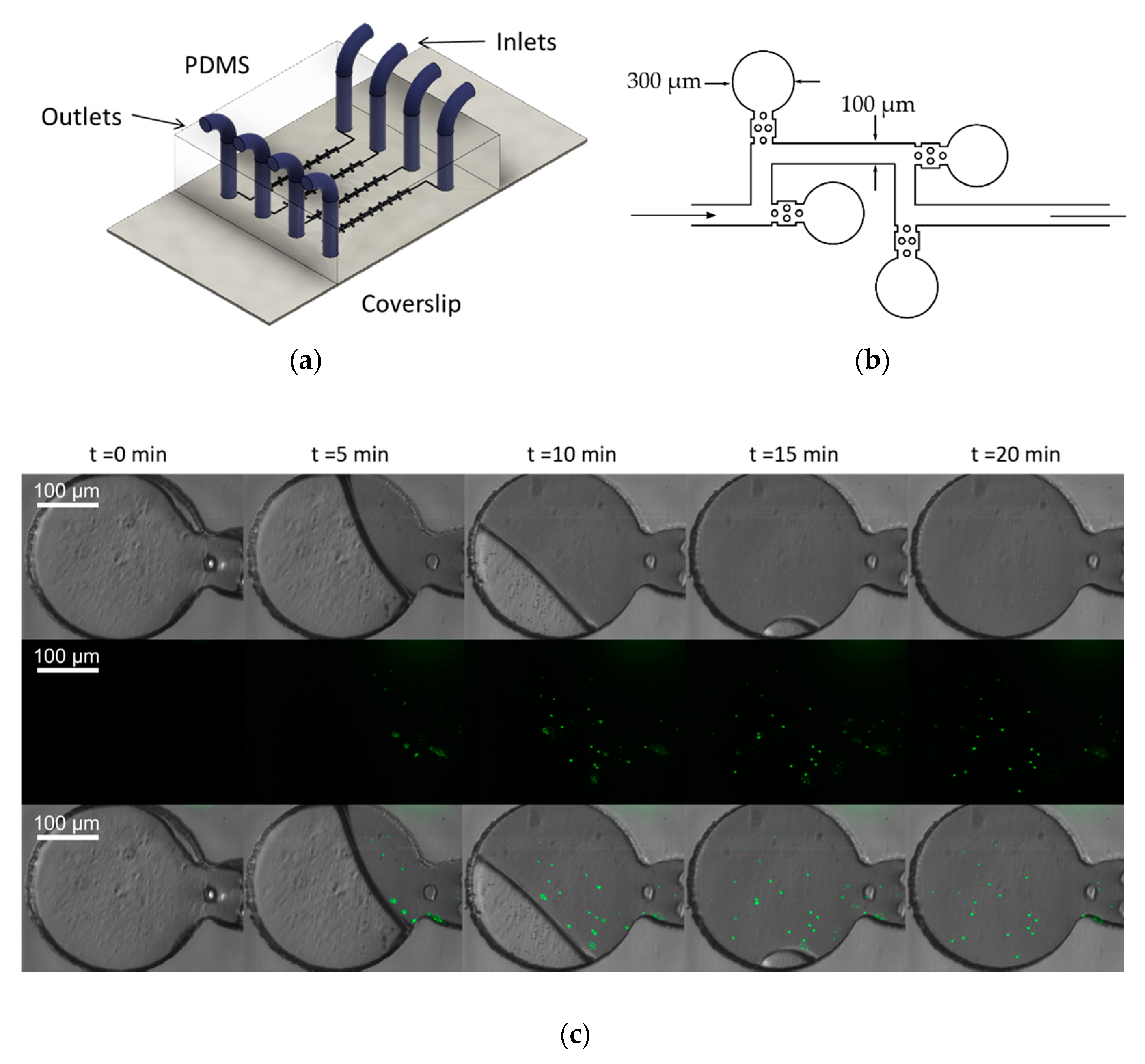 Sensors 20 04140 g005